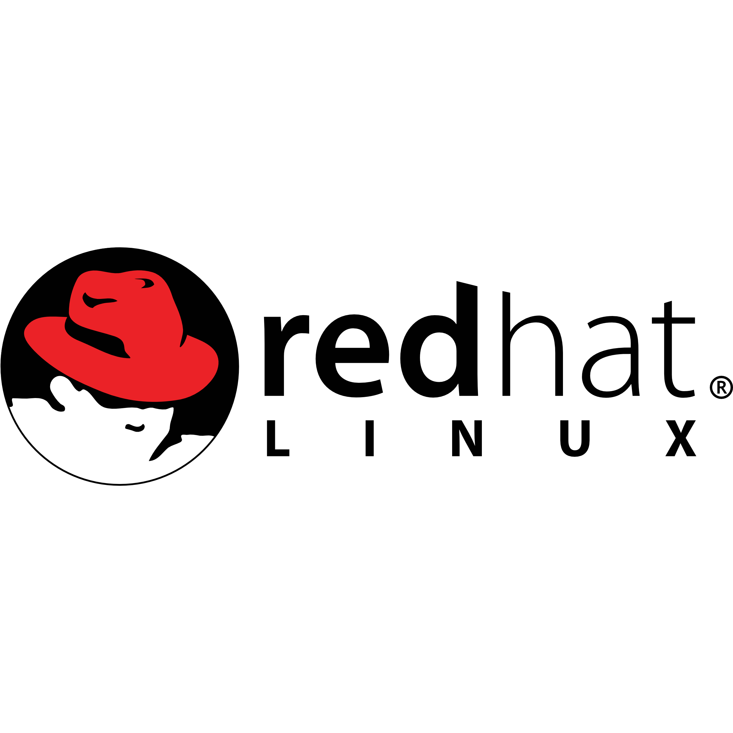 Red hat 8. Red hat. Red hat logo. Red hat Linux. Red hat Enterprise Linux.