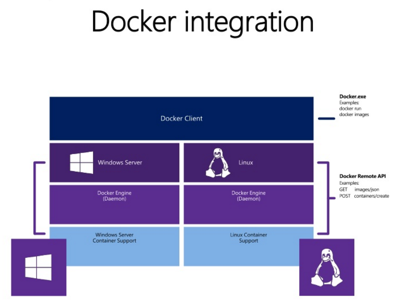Intégration Docker