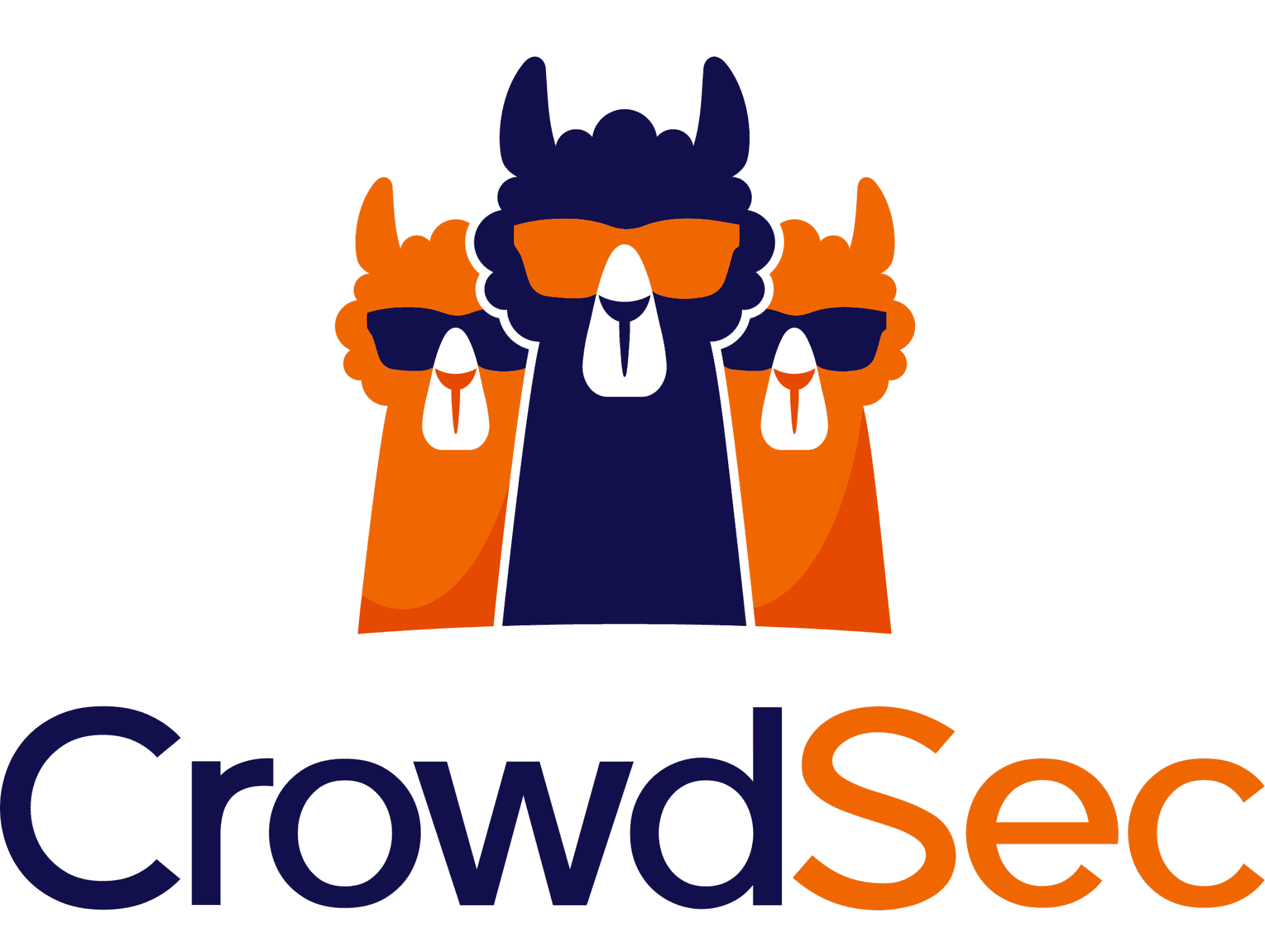 CrowdSec : l'EDR open source origine France lève 14 M¬